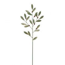 Green Leaves & Red Berries Spray