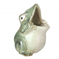 Porcelain Frog Pot