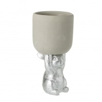 Pot Held Up By Rabbit