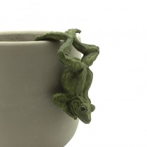 Pot Hanging Frog