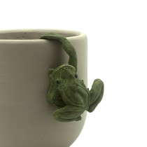 Pot Hanging Frog