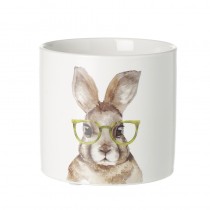 Cement Pot With Hare Wearing Glasses