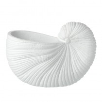 Shell Pot Large