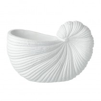 Shell Pot Sm