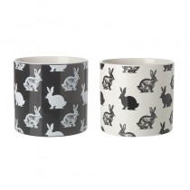 Lg Black & White Bunny Rabbit Pot Mix