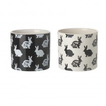 Sm Black & White Bunny Rabbit Pot Mix