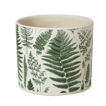 Pot With Fern Design