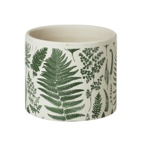 Stone Fern Pot
