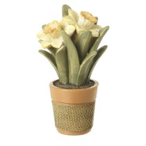 Daffodils In Pot