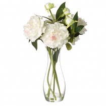 White Peony Stems In Vase
