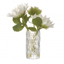 White Flower Stems In Vase