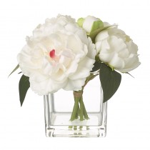 White Magnolia Bunch In Vase