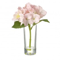 Pink Hydrangea Stem In Vase