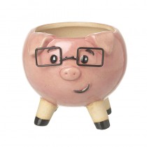 Pig With Glasses Pot