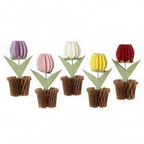 Paper Tulips In Pots Mix