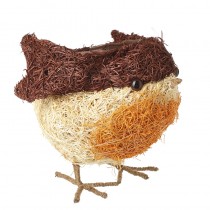 Robin Plant Pot Lg