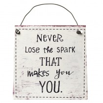 Never Lose The Spark Metal Sign
