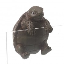 Tortoise Pot Hanger