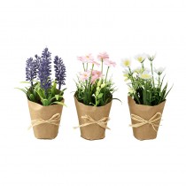 Pretty Flowers In Pots Mix