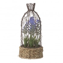 Sml Lavender In Pot With Wire Birdcage