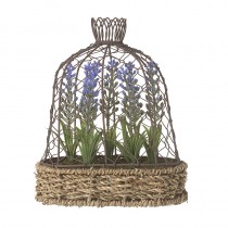 Lrg Lavender In Pot With Wire Birdcage