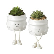 Succulent Pots With Legs
