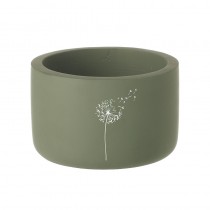 Small Green Dandelion Pot