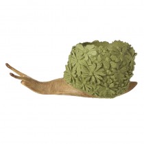 Green Wood Finish Snail Pots