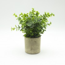 Artificial Eucalyptus In Grey Pot