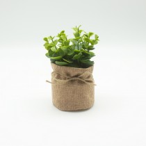 Artificial Eucalyptus In Pot