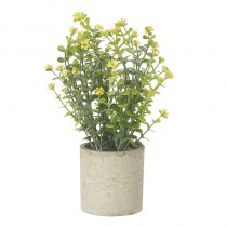 Yellow Flower Plant In Pot