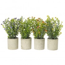 Flower Plant In Pot Mix
