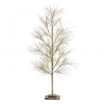Gold Willow Tree