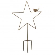 Metal Star With Robin