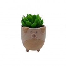 Pig Plant Pot