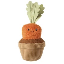 Soft Carrot In Pot