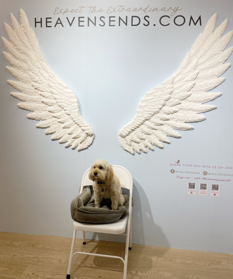 MS Home and Gift (& Bailey!) visit the Showroom